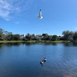 Meet your Posher, Lina